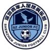 深圳青年人logo
